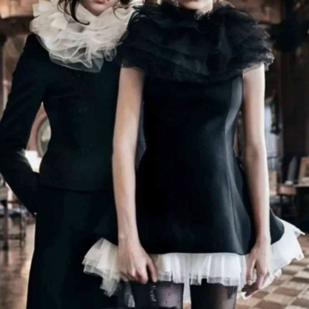 Zara Tulle Dress S ~ LIMITED EDITION